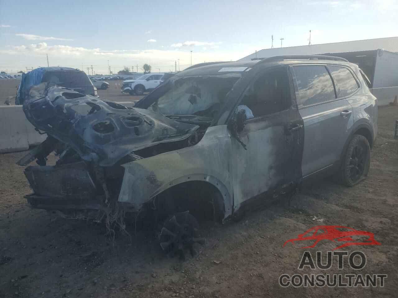 KIA TELLURIDE 2025 - 5XYP5DGC1SG606606