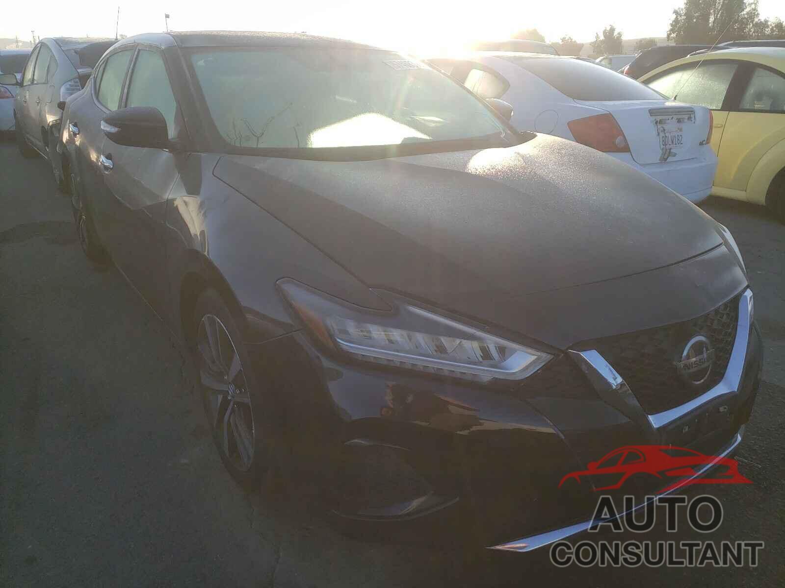 NISSAN MAXIMA 2019 - 1N4AA6AV0KC369785