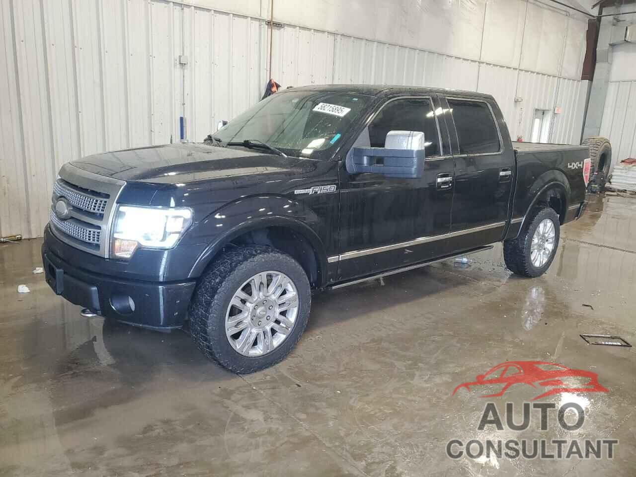 FORD F150 2009 - 1FTPW14V89FA02484