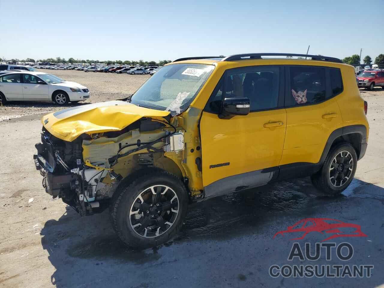 JEEP RENEGADE 2023 - ZACNJDB13PPP54818