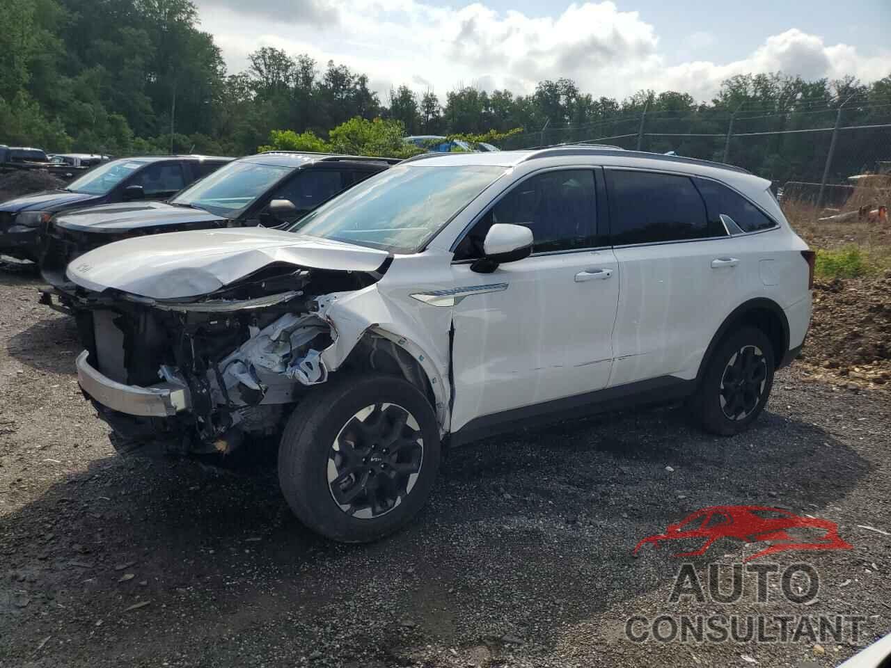 KIA SORENTO 2024 - 5XYRLDJC4RG278907