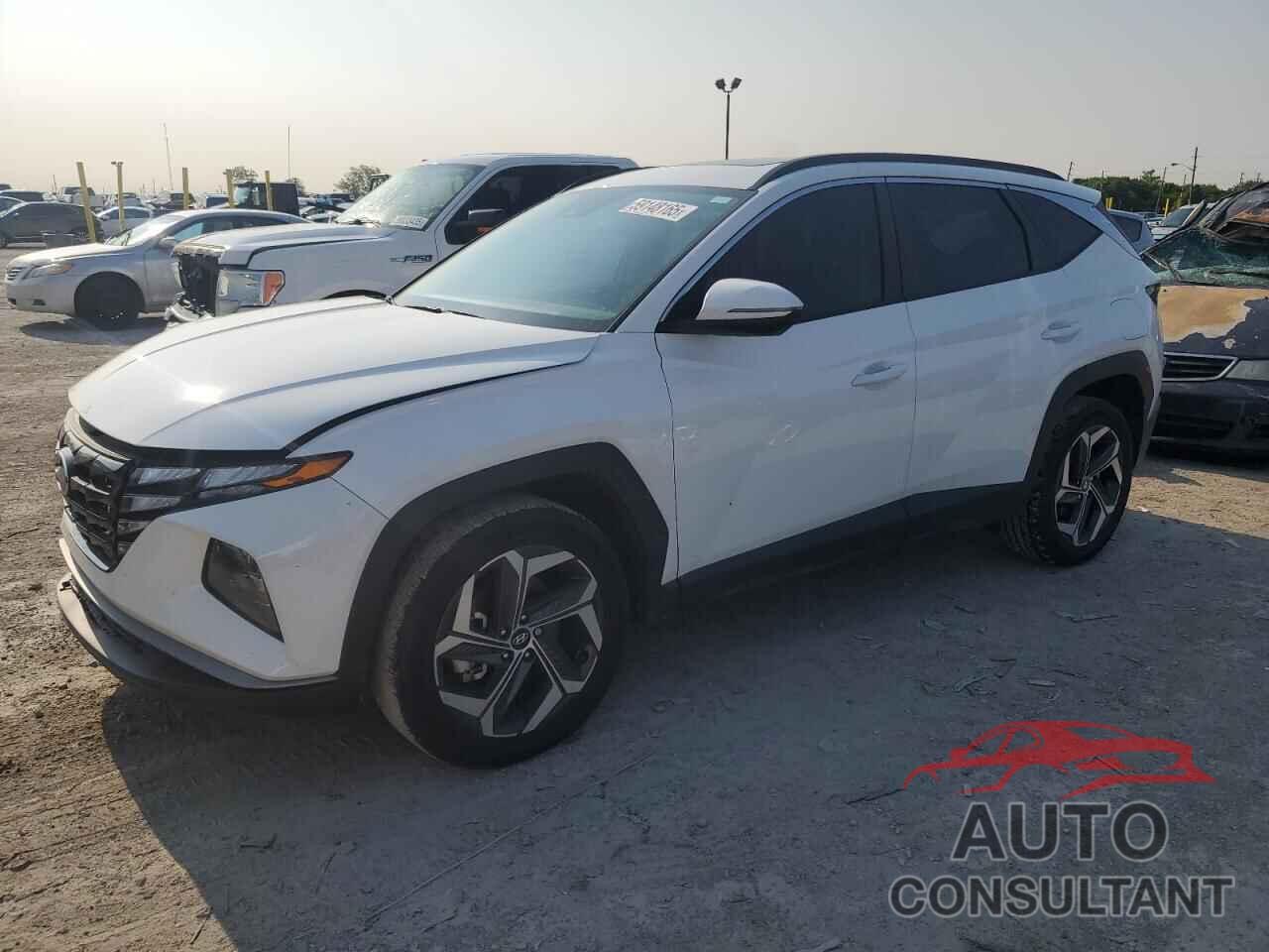 HYUNDAI TUCSON 2024 - 5NMJFCDEXRH398891
