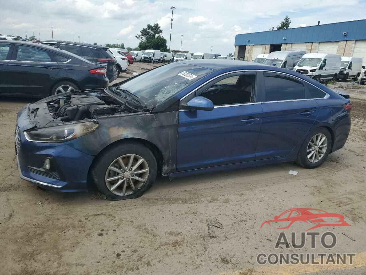 HYUNDAI SONATA 2018 - 5NPE24AF7JH700600