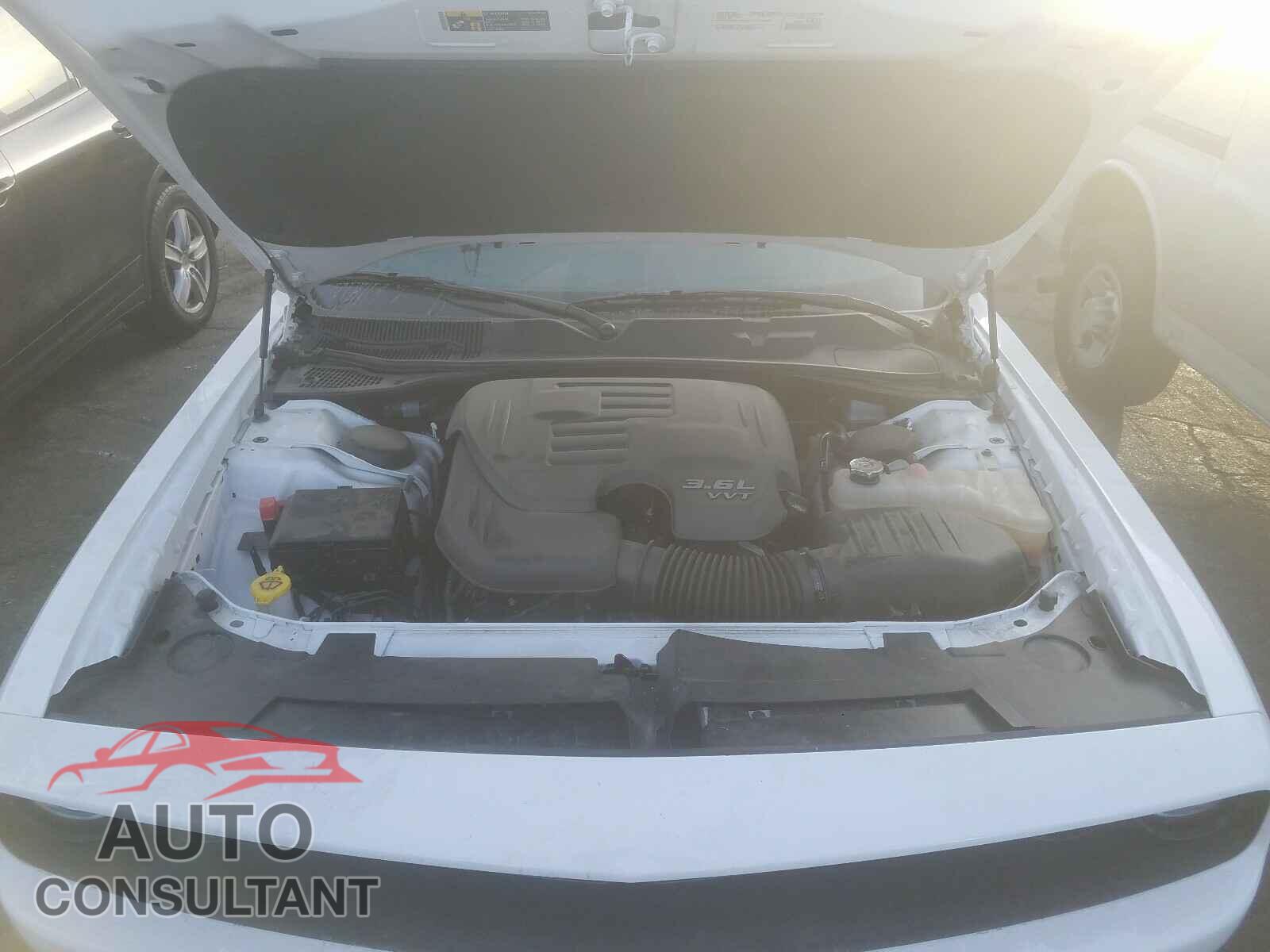 DODGE CHALLENGER 2019 - 2C3CDZAG5KH500417