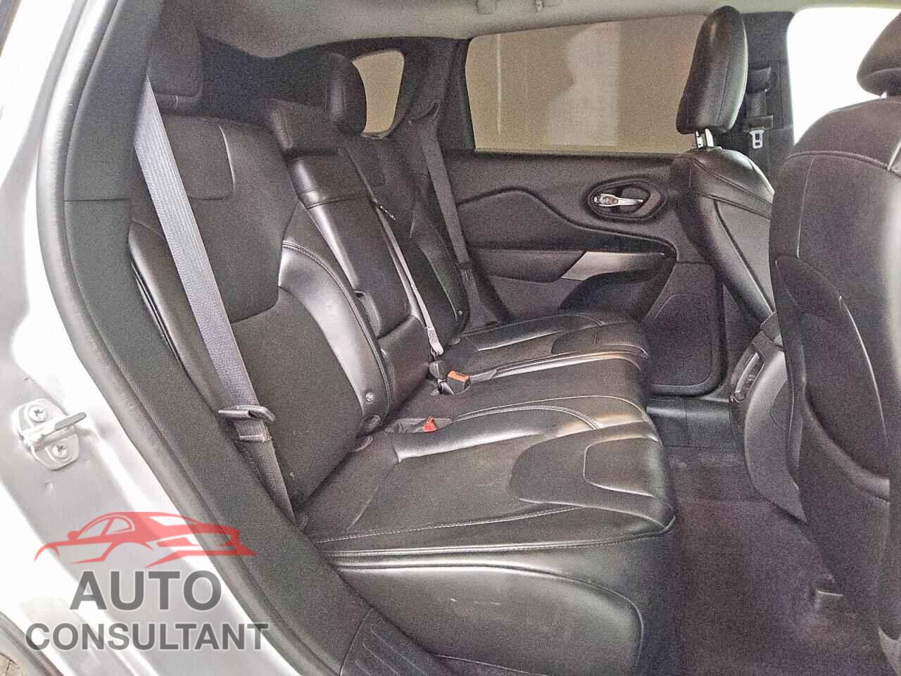 JEEP CHEROKEE 2019 - 1C4PJLLB3KD111275