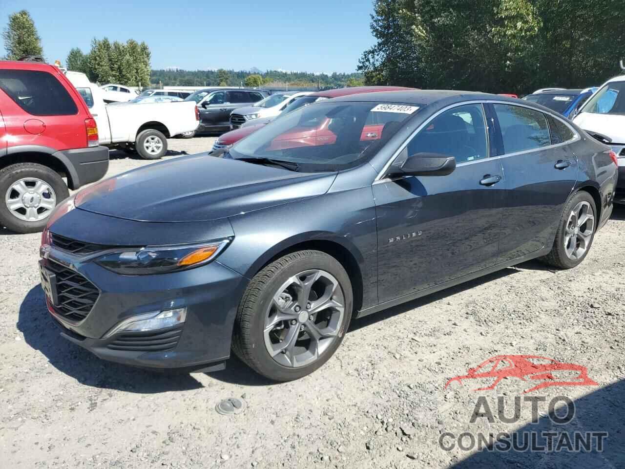 CHEVROLET MALIBU 2019 - 1G1ZG5ST8KF195930