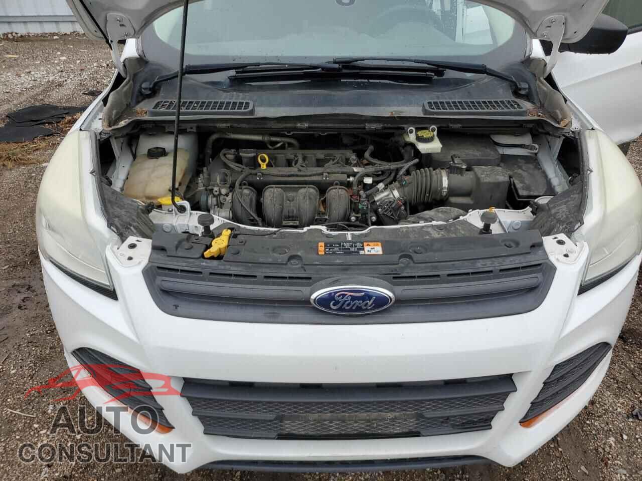 FORD ESCAPE 2014 - 1FMCU0F72EUC07801
