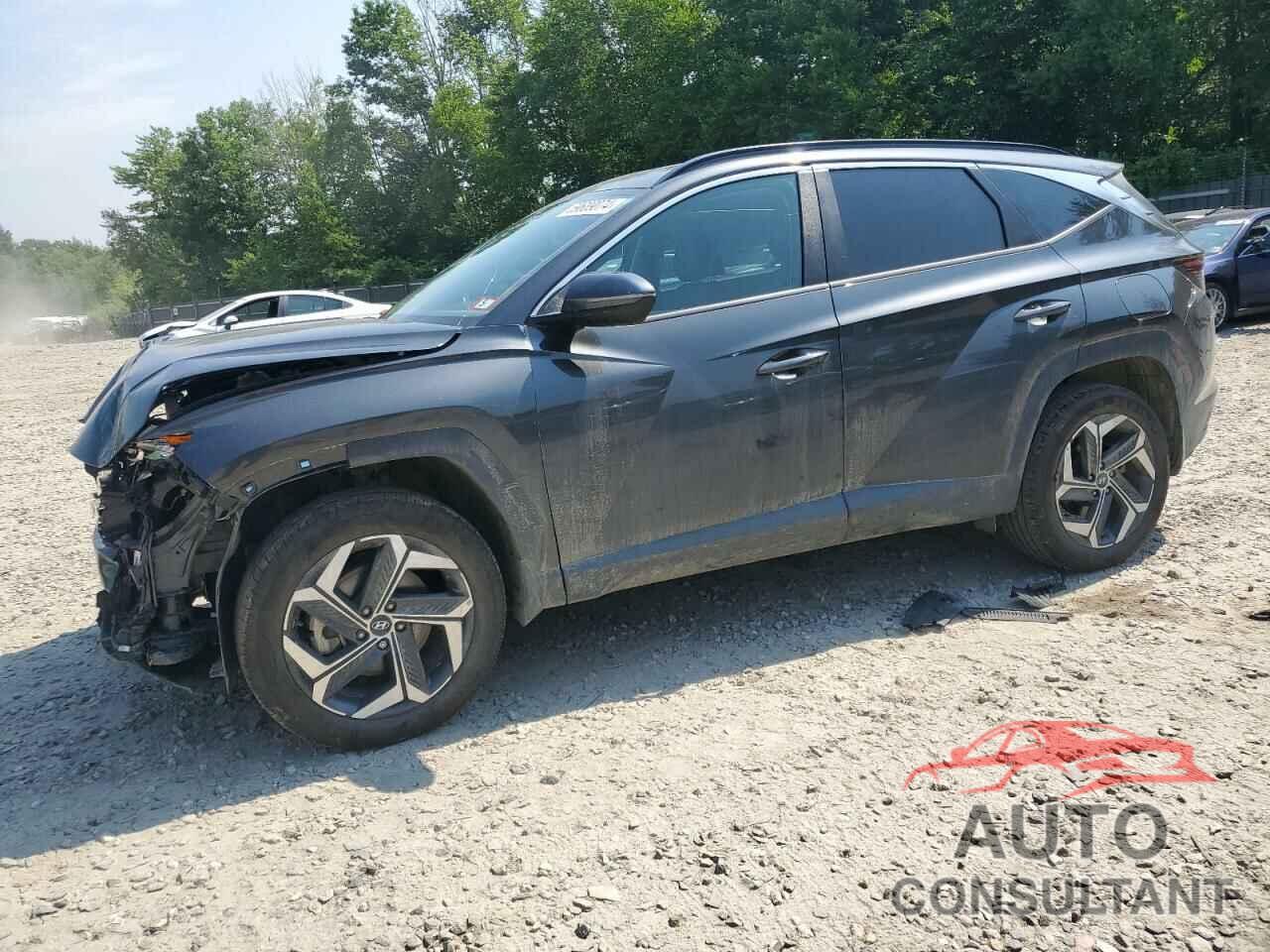 HYUNDAI TUCSON 2023 - 5NMJFCAE7PH220695