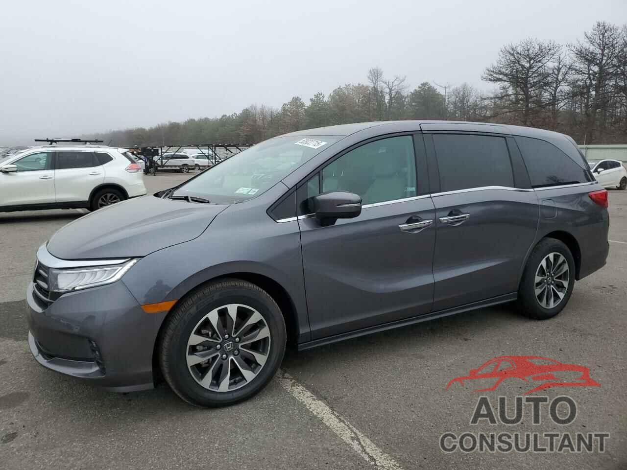 HONDA All Models 2024 - 5FNRL6H6XRB041552