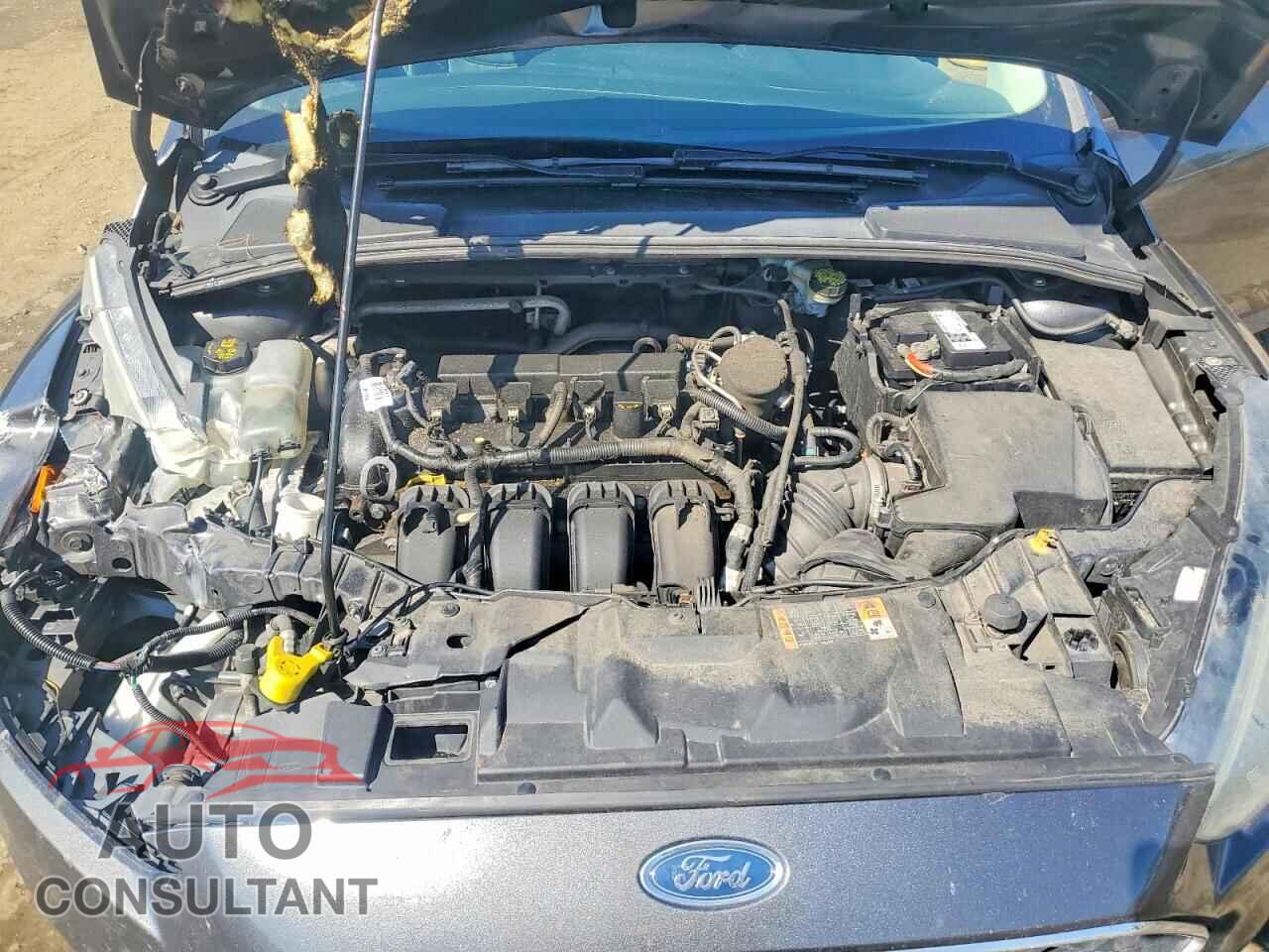 FORD FOCUS 2016 - 1FADP3K23GL304046