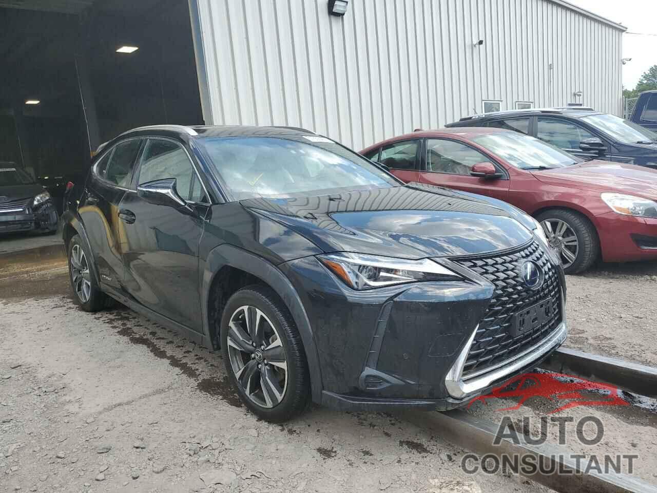 LEXUS UX 250H 2019 - JTHU9JBH9K2017899