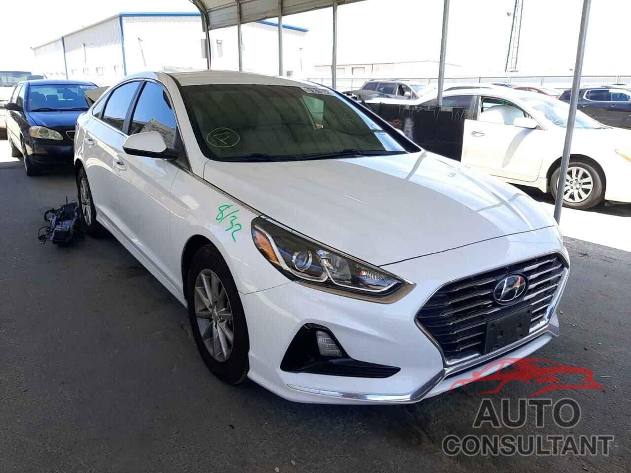 HYUNDAI SONATA 2019 - 5NPE24AF8KH760595