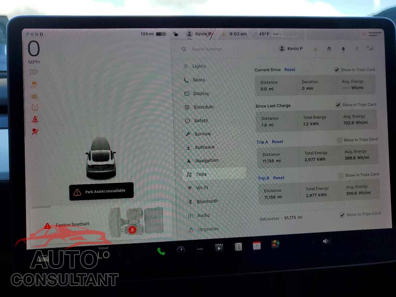 TESLA MODEL 3 2021 - 5YJ3E1EA1MF921804