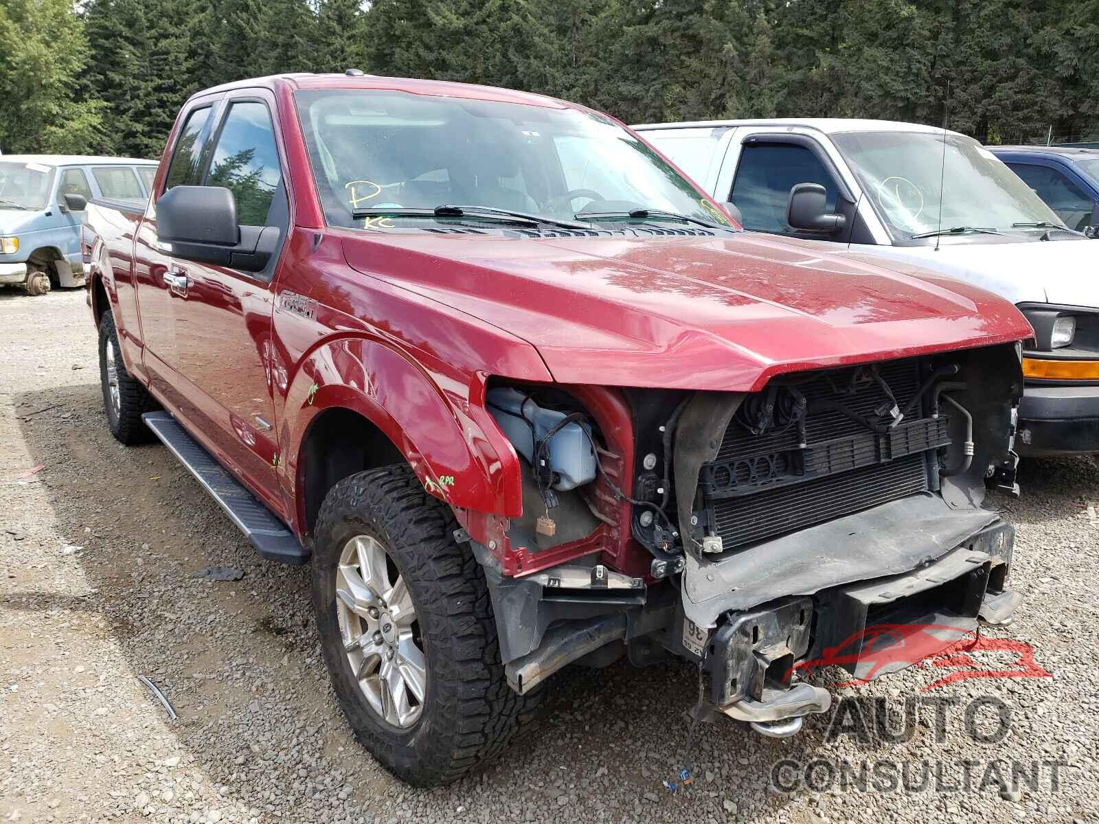 FORD F-150 2016 - 1FTFX1EG9GFC07544