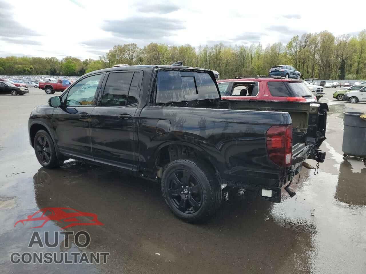 HONDA RIDGELINE 2019 - 5FPYK3F87KB019183