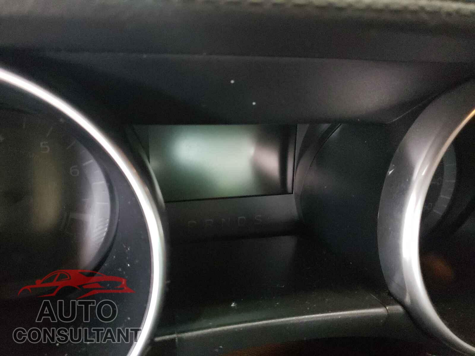 FORD MUSTANG 2019 - 1FA6P8CF2K5157464