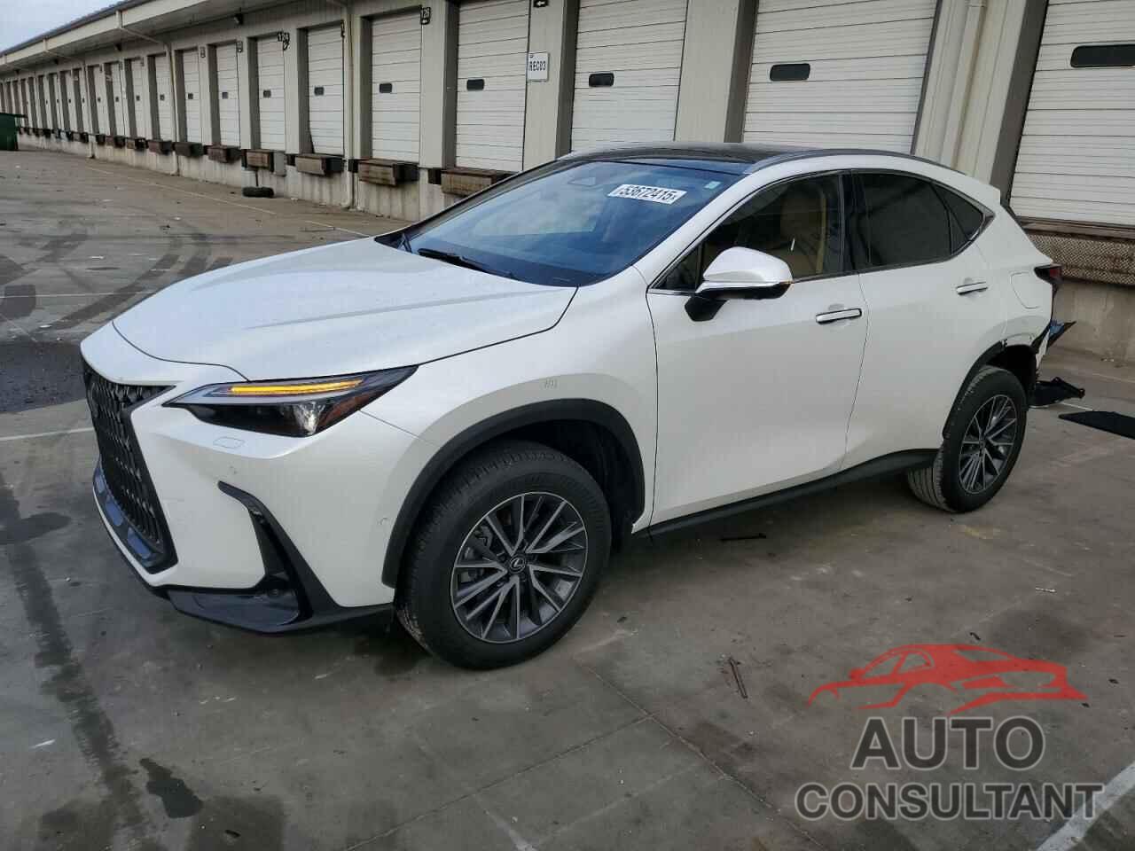 LEXUS NX 350H BA 2024 - JTJHKCEZ6R2035436