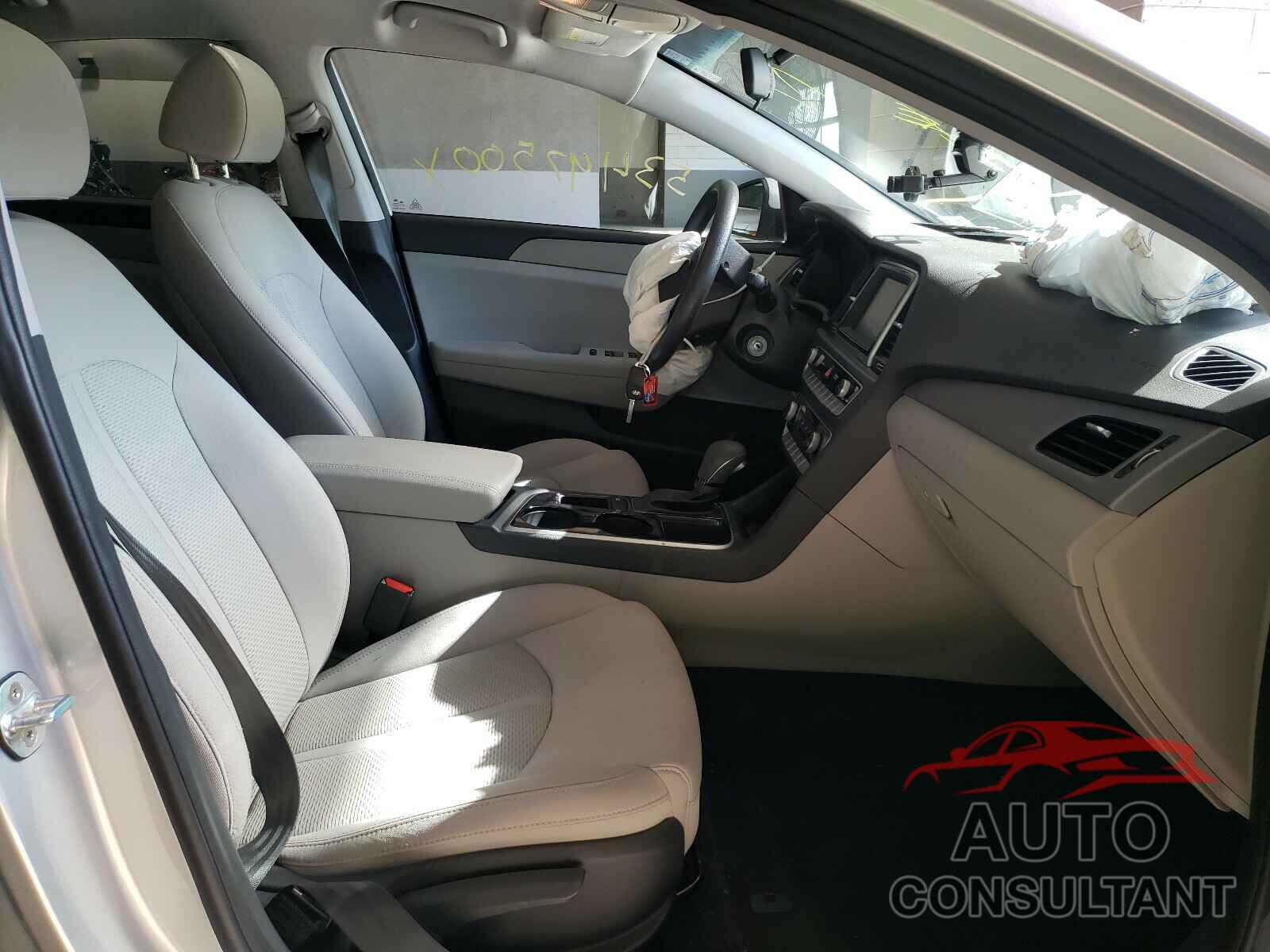 HYUNDAI SONATA 2019 - 5NPE24AF7KH743271