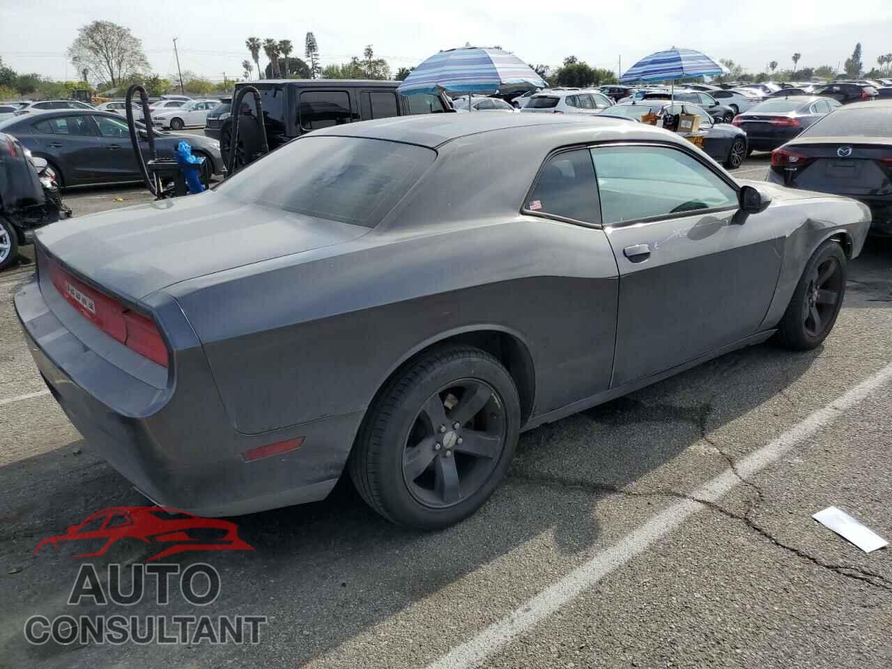 DODGE CHALLENGER 2013 - 2C3CDYAG7DH582051