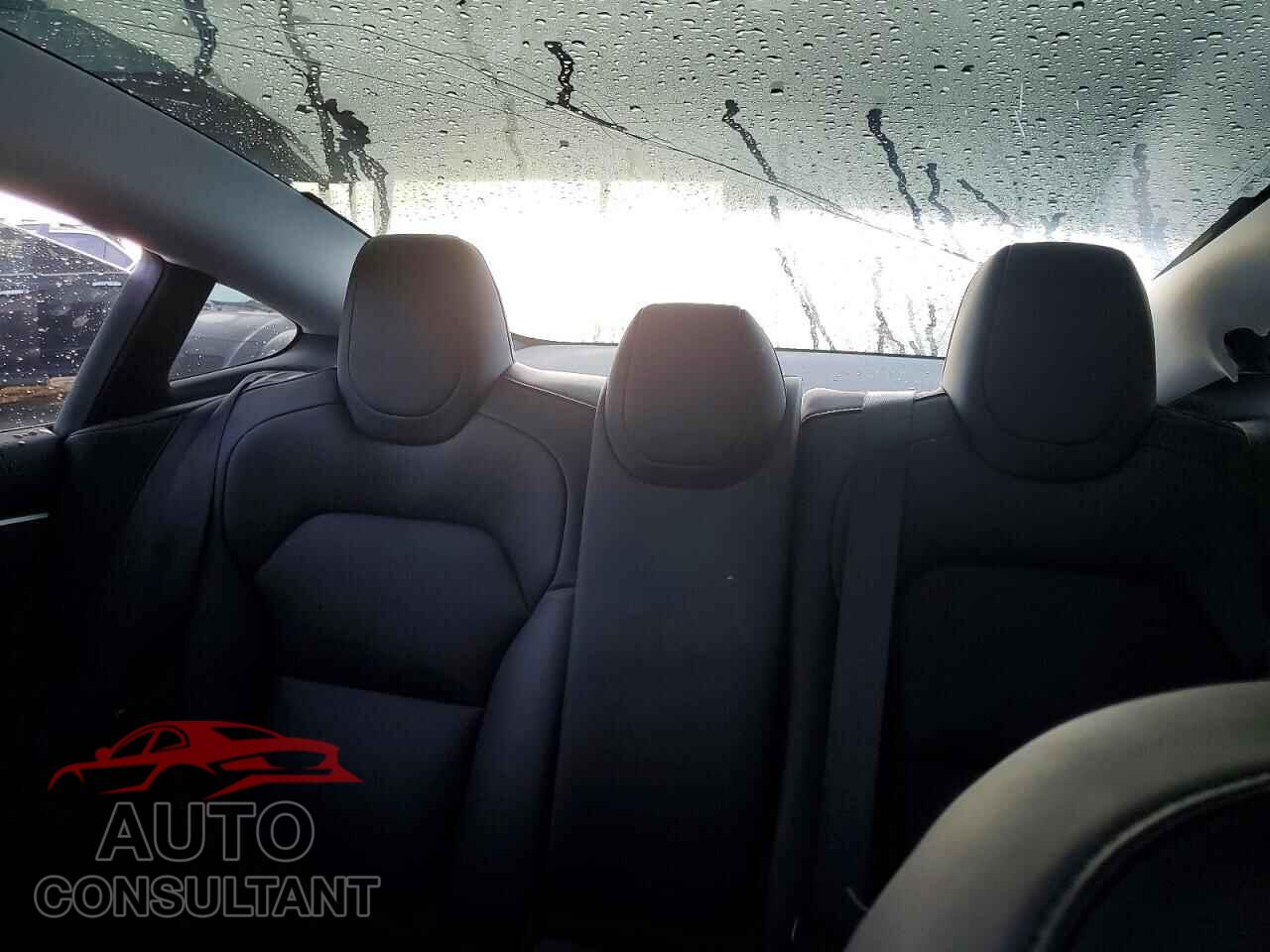 TESLA MODEL 3 2025 - 5YJ3E1EA6SF005603