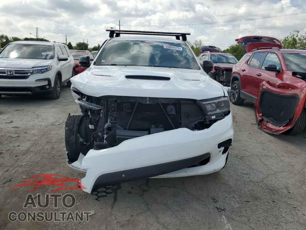 DODGE DURANGO 2021 - 1C4SDJCT0MC556421