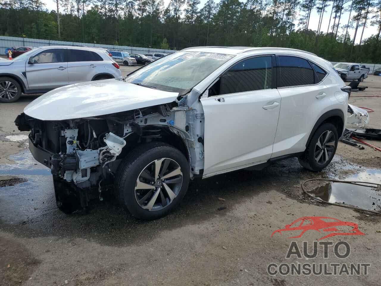 LEXUS NX 2018 - JTJYARBZ4J2095374