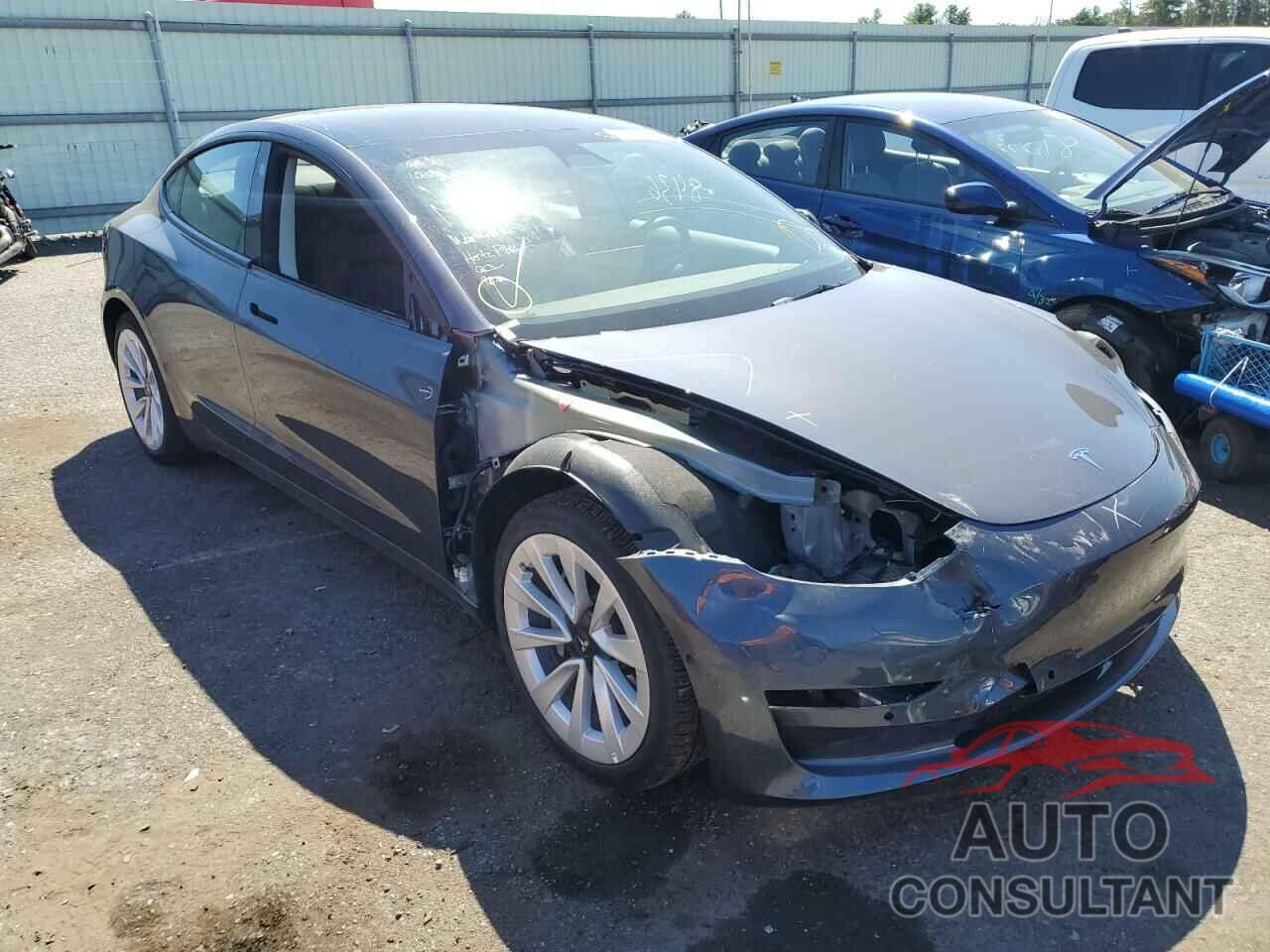 TESLA MODEL 3 2022 - 5YJ3E1EB3NF186561