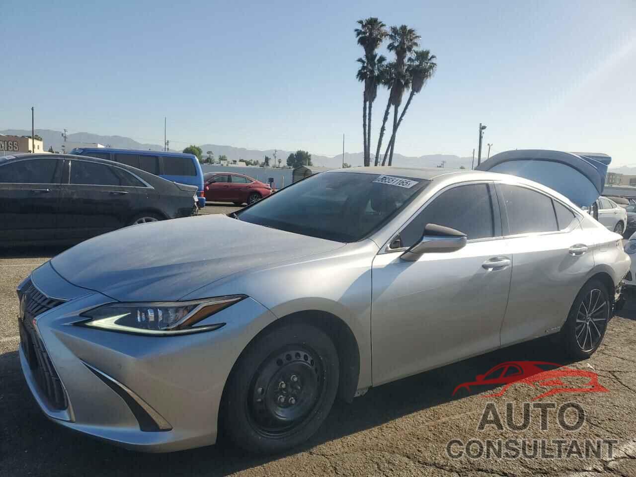 LEXUS ES300 2022 - 58ADA1C18NU025323