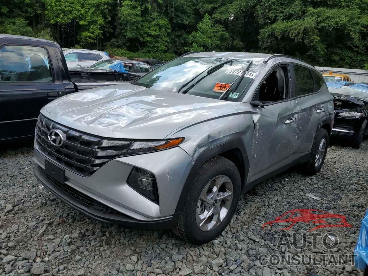 HYUNDAI TUCSON 2024 - 5NMJBCDEXRH390950