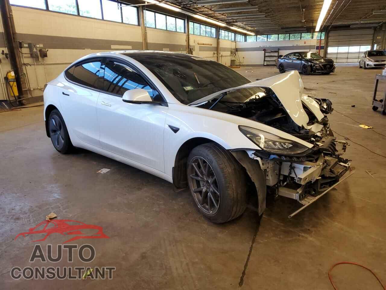 TESLA MODEL 3 2019 - 5YJ3E1EA1KF431876