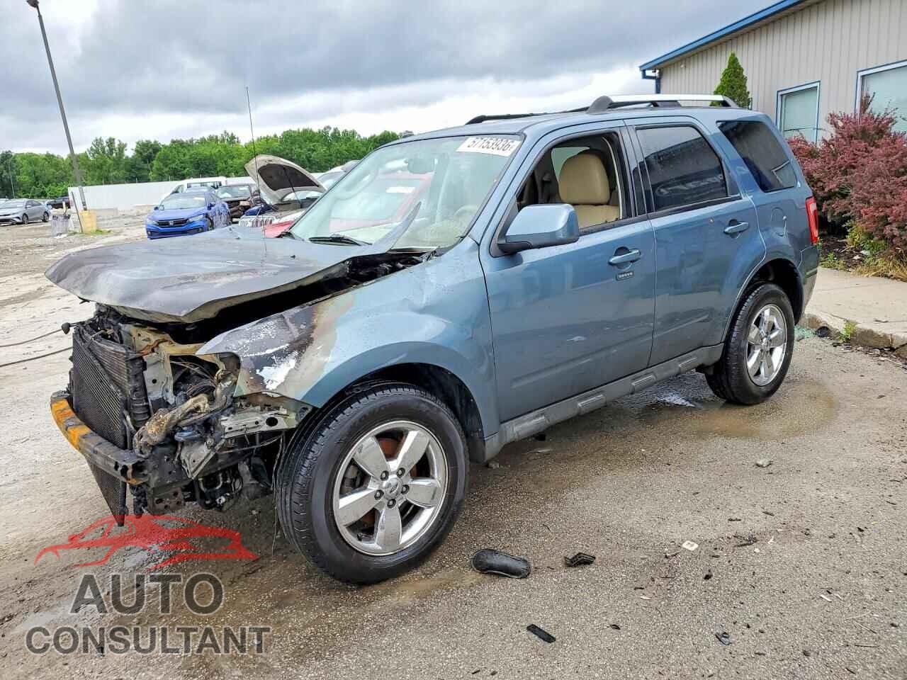 FORD ESCAPE 2011 - 1FMCU0EG6BKA31487