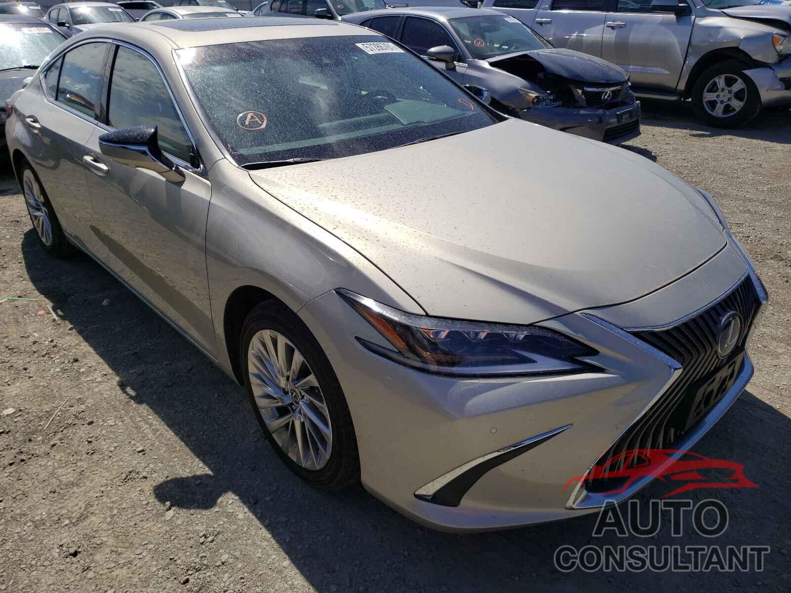 LEXUS ES300 2021 - 58AEA1C1XMU001320