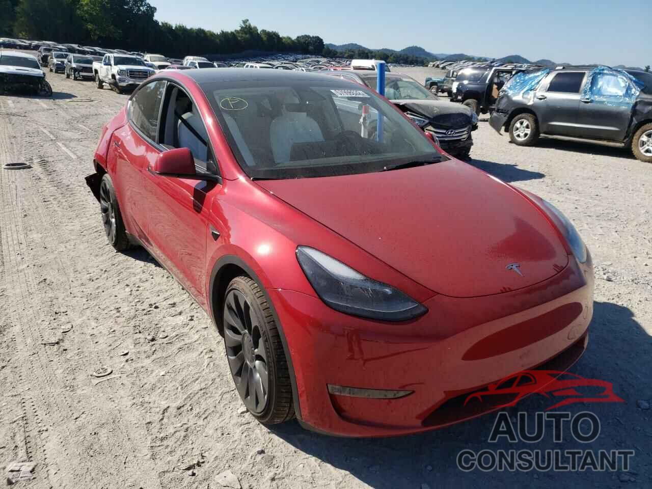 TESLA MODEL Y 2022 - 7SAYGDEF7NF441879
