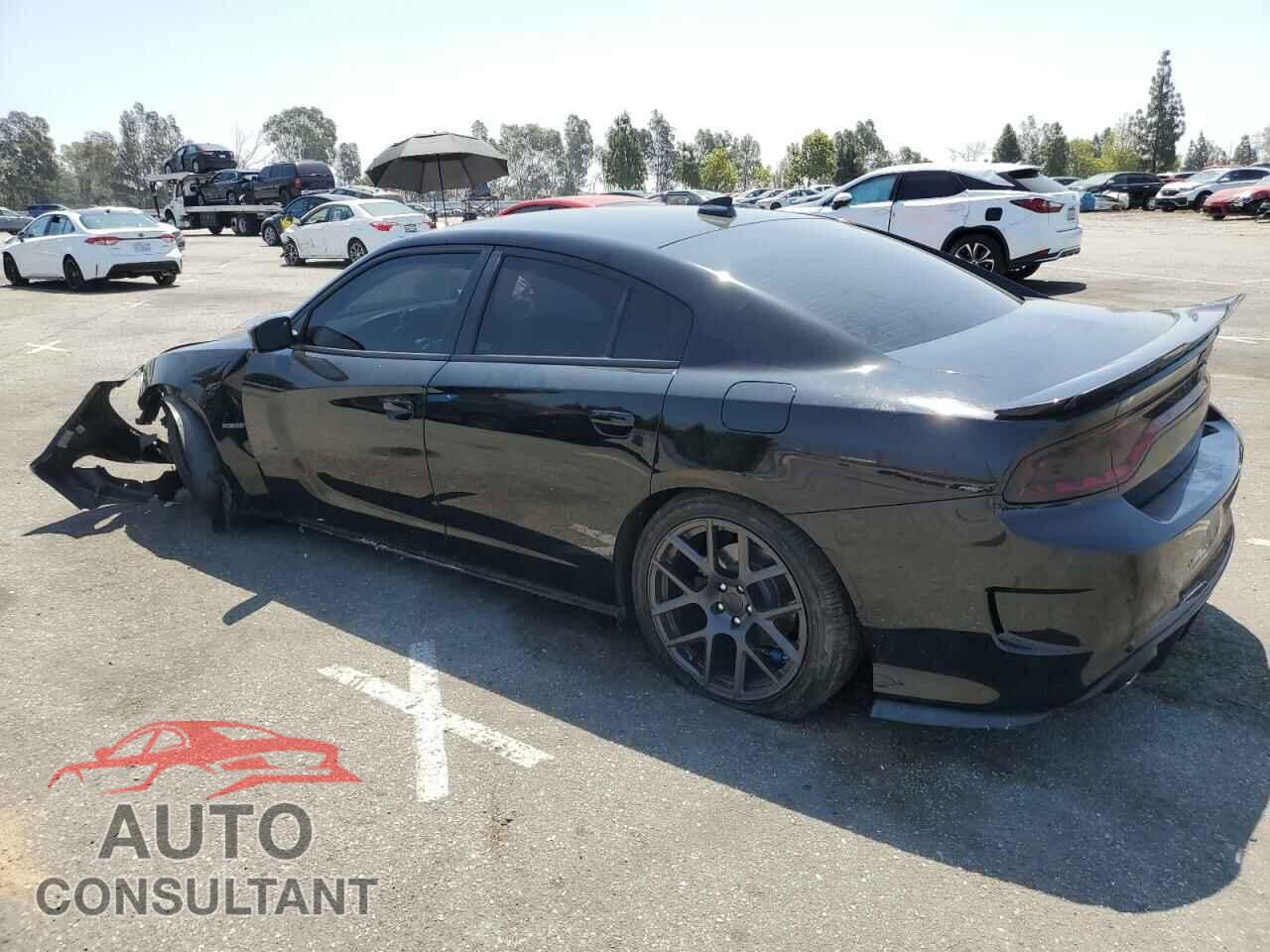 DODGE CHARGER 2019 - 2C3CDXCT5KH575228