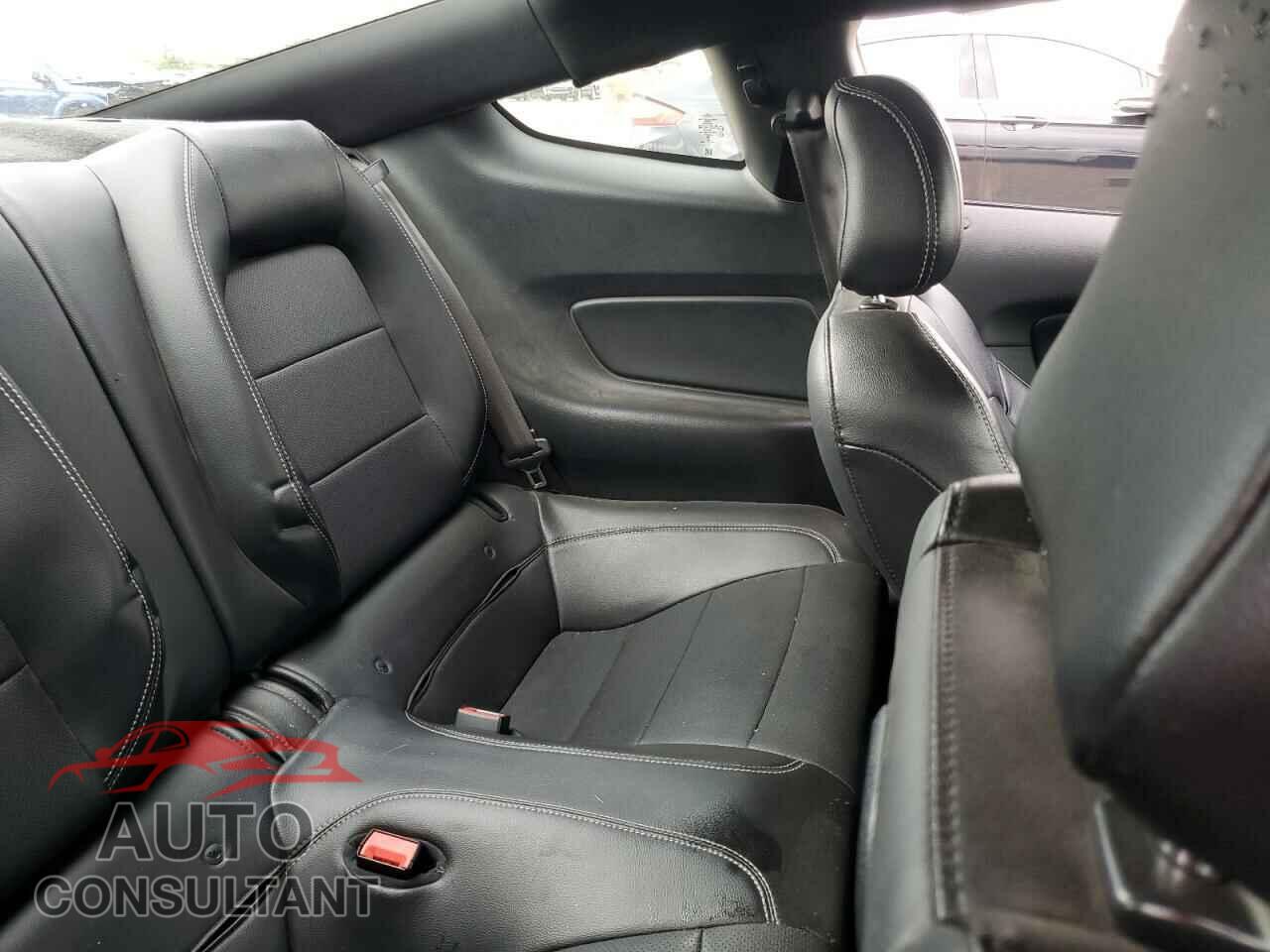 FORD MUSTANG 2019 - 1FA6P8CF8K5117020