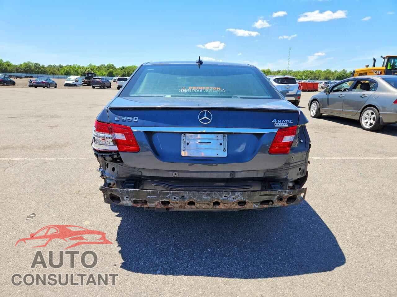 MERCEDES-BENZ E-CLASS 2013 - WDDHF8JB4DA698022
