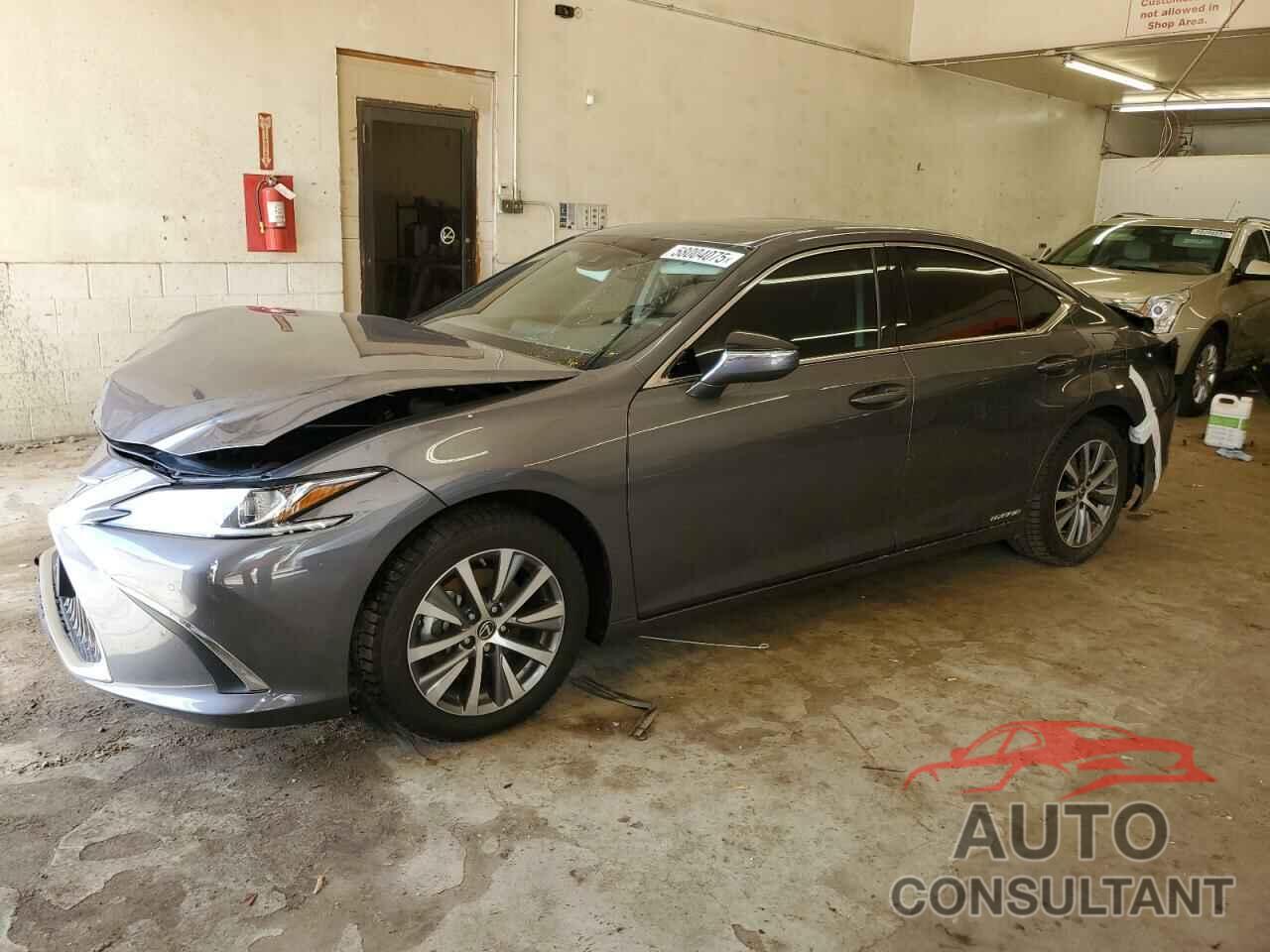 LEXUS ES300 2021 - 58ADA1C18MU002218