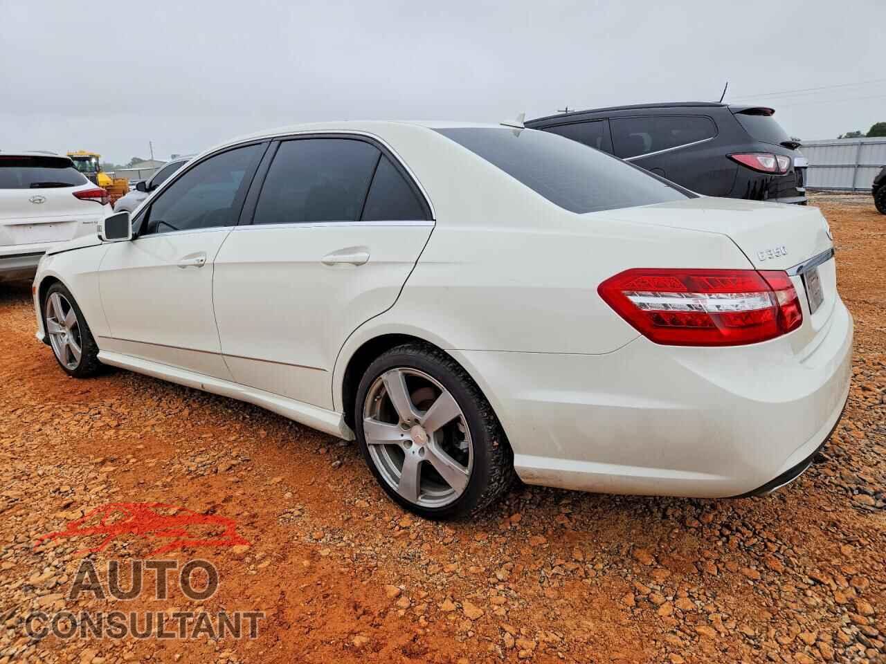 MERCEDES-BENZ E-CLASS 2010 - WDDHF8HB7AA169911