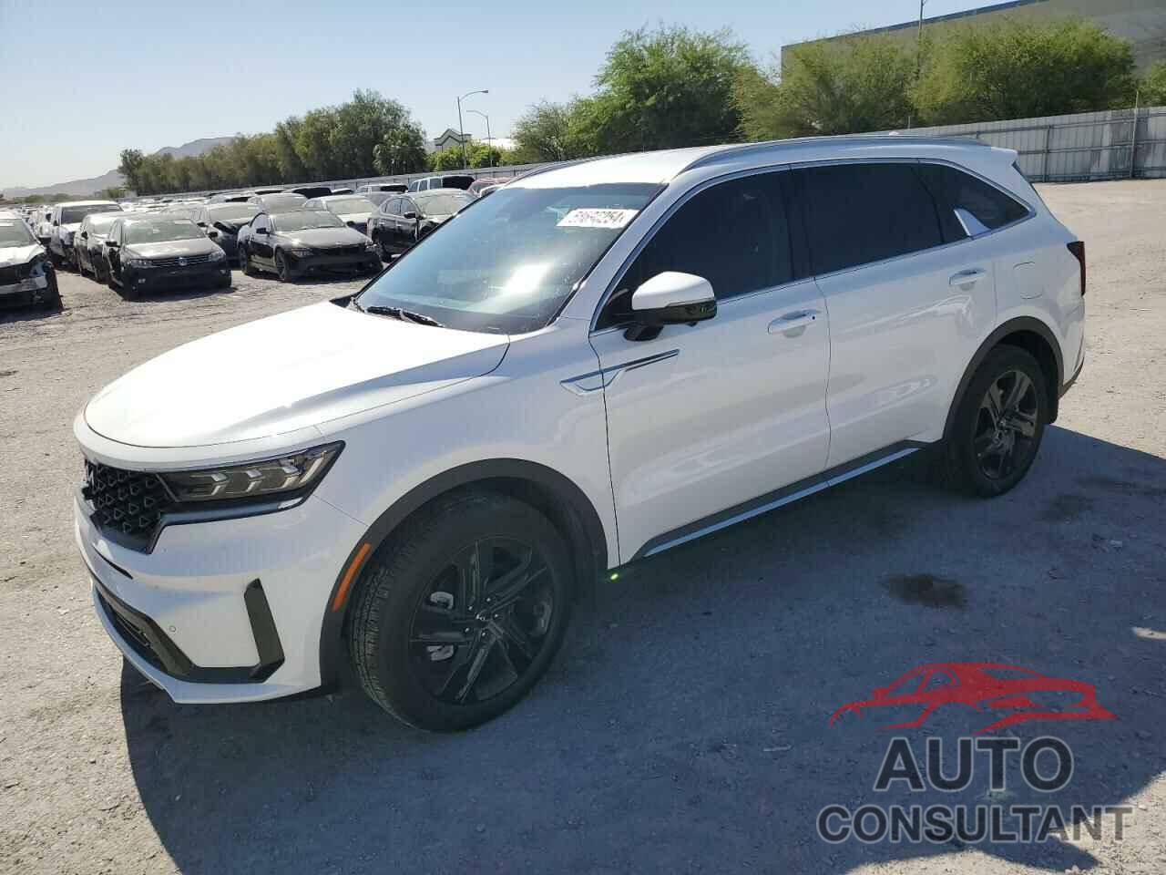 KIA SORENTO 2024 - KNDRKDLG9R5248751