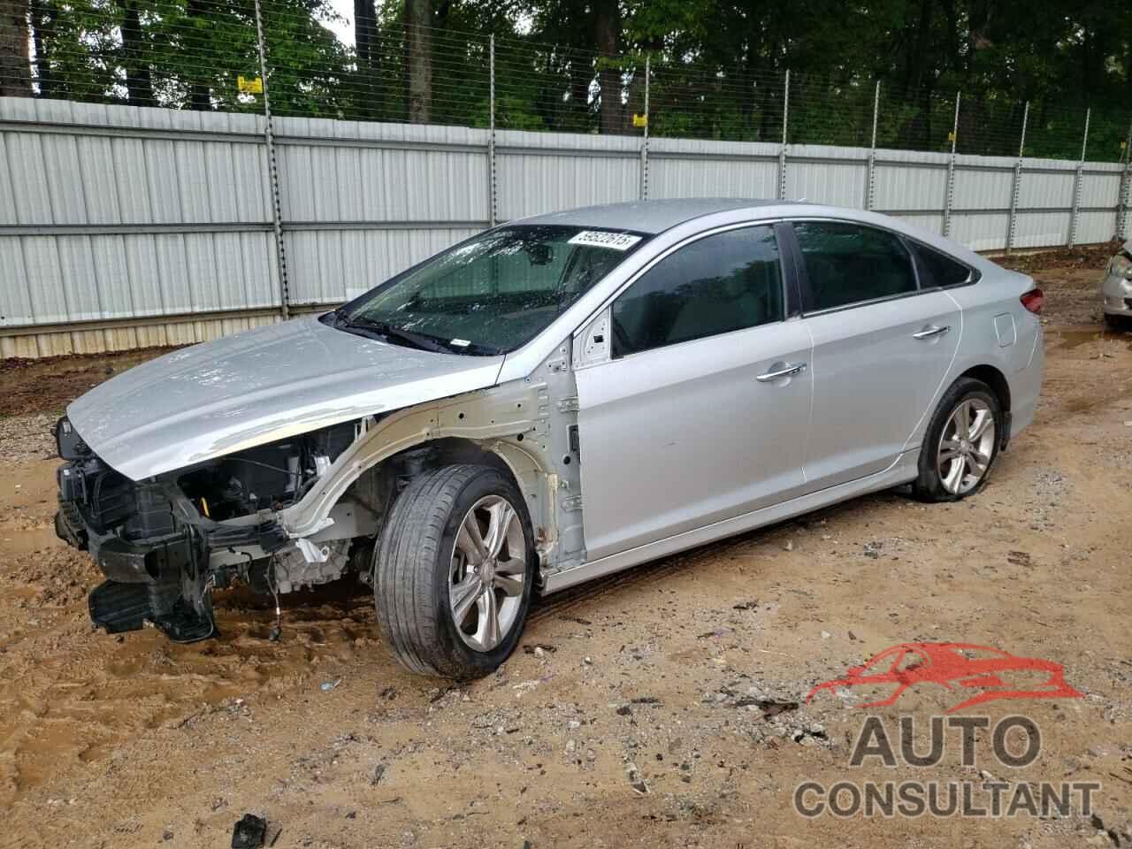HYUNDAI SONATA 2019 - 5NPE34AF8KH791634