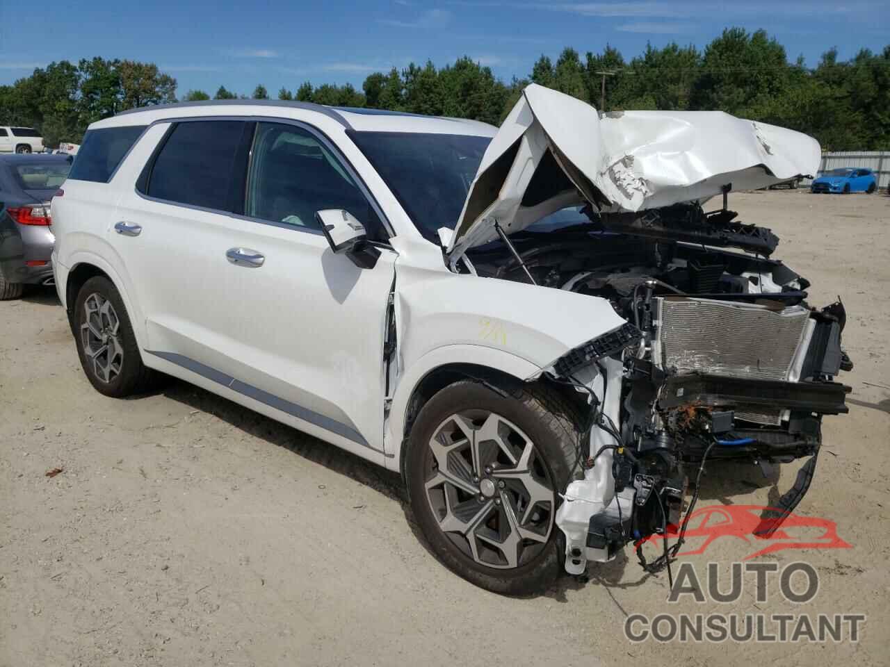 HYUNDAI PALISADE 2022 - KM8R7DHE6NU386882