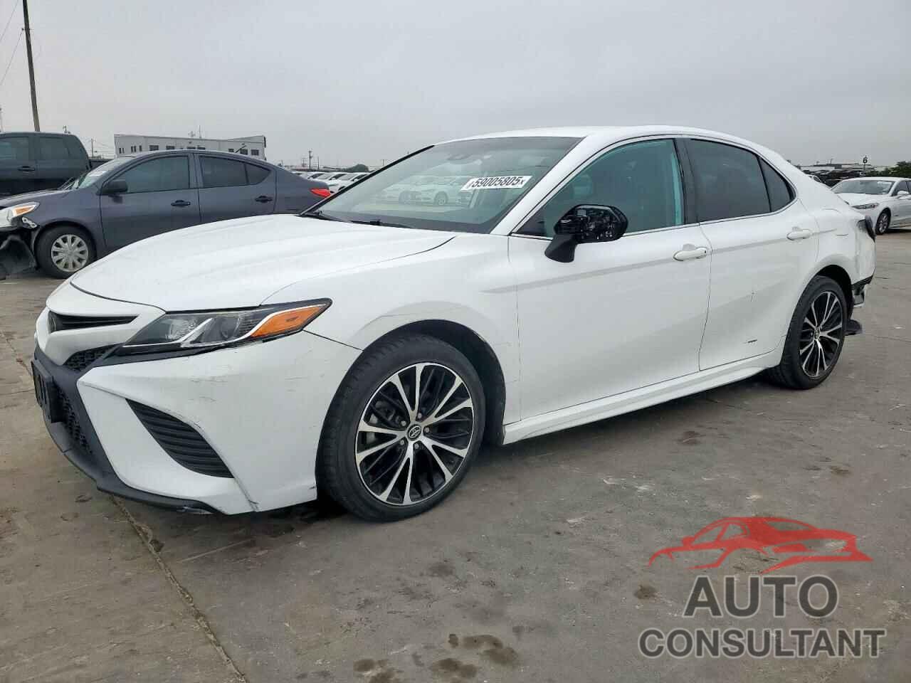 TOYOTA CAMRY 2019 - 4T1B11HKXKU794692