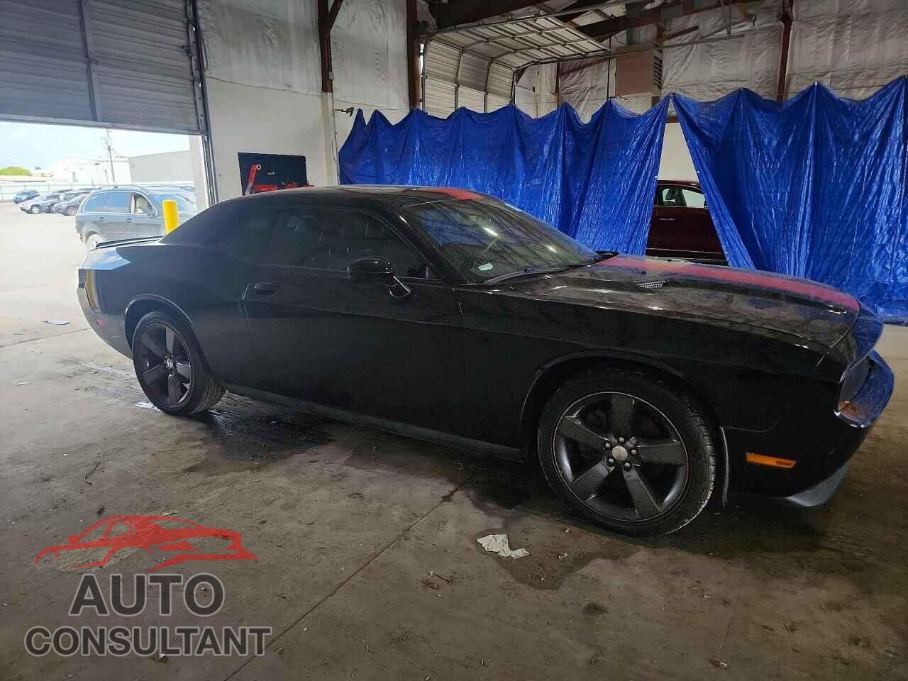 DODGE CHALLENGER 2013 - 2C3CDYAG8DH501560
