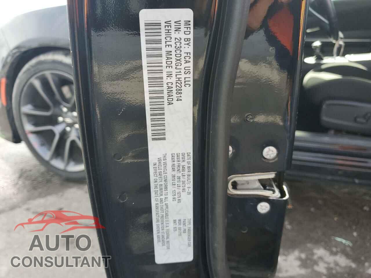 DODGE CHARGER 2020 - 2C3CDXGJ1LH228814