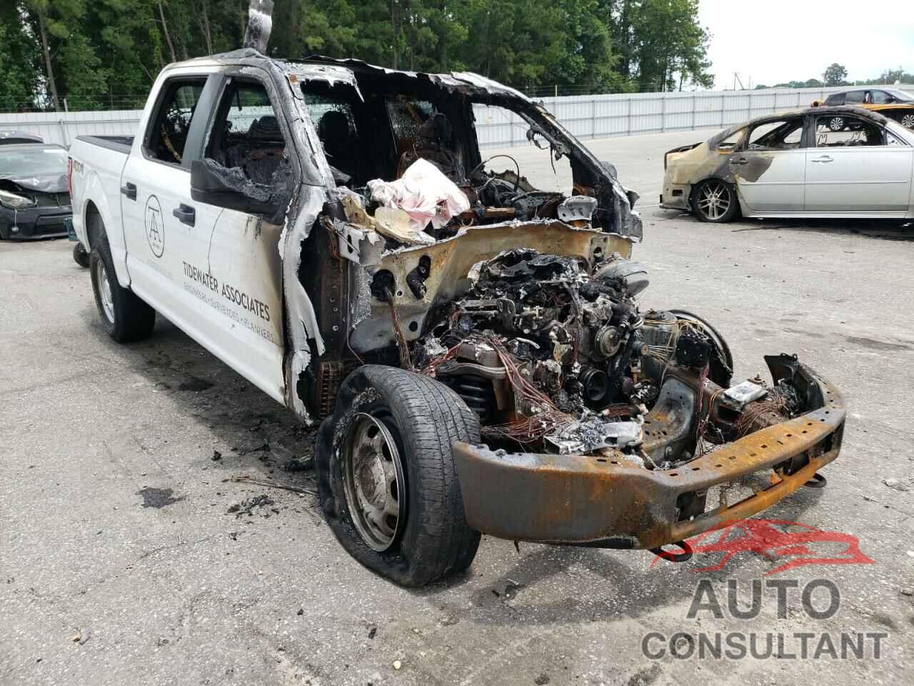 FORD F-150 2019 - 1FTEW1EBXKFC75797