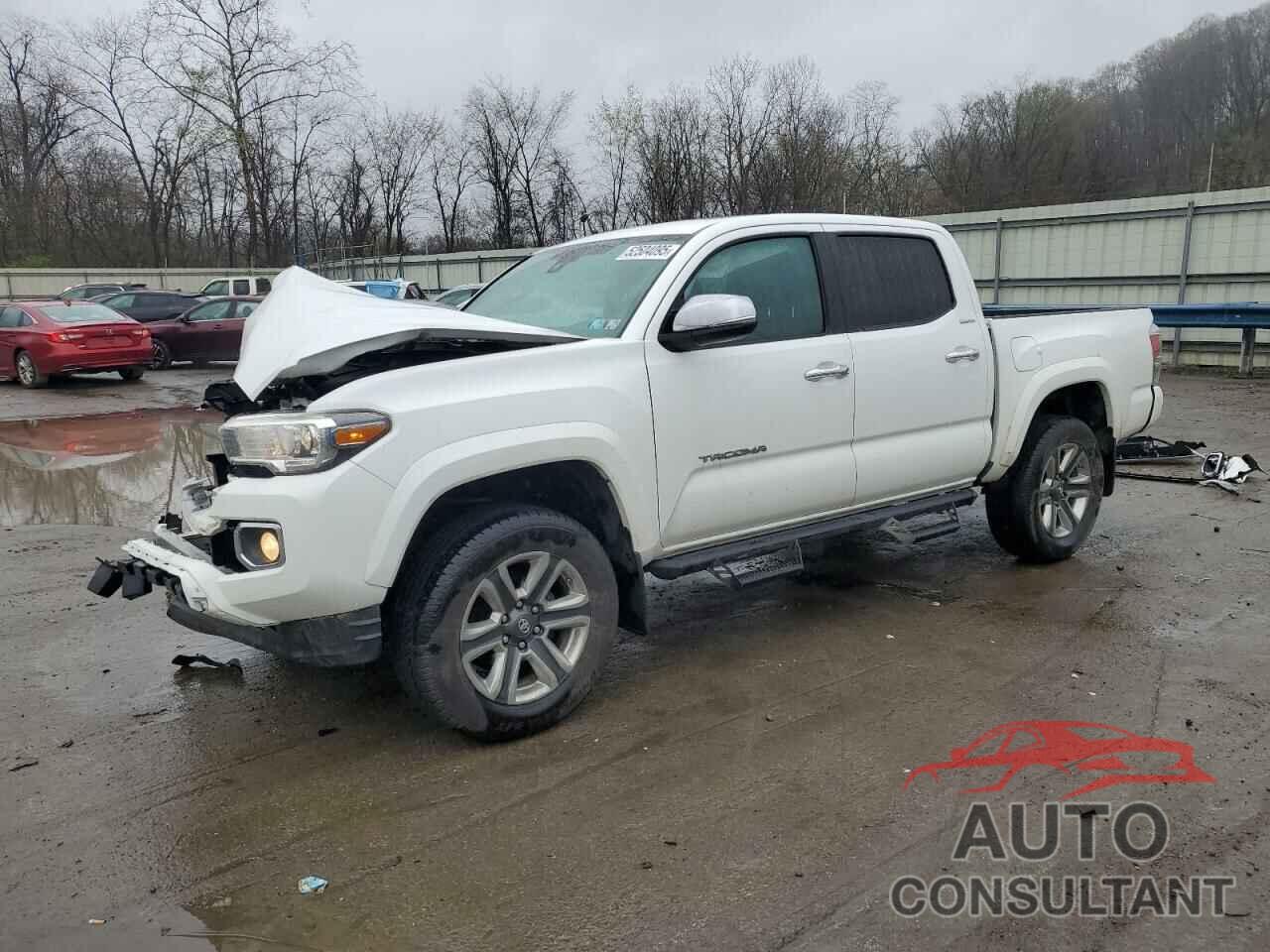 TOYOTA TACOMA 2019 - 3TMGZ5AN5KM258610