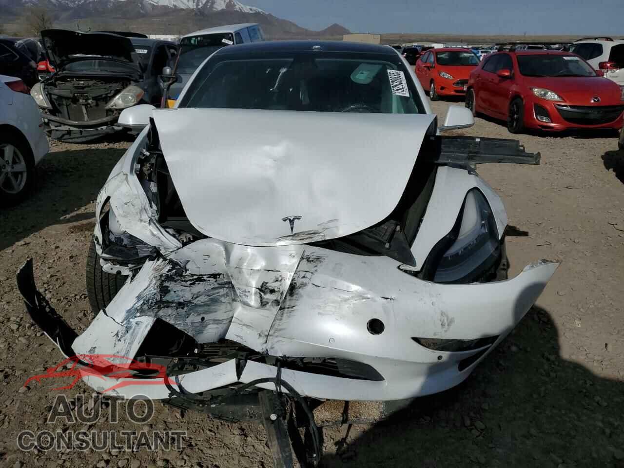 TESLA MODEL 3 2019 - 5YJ3E1EB0KF387961