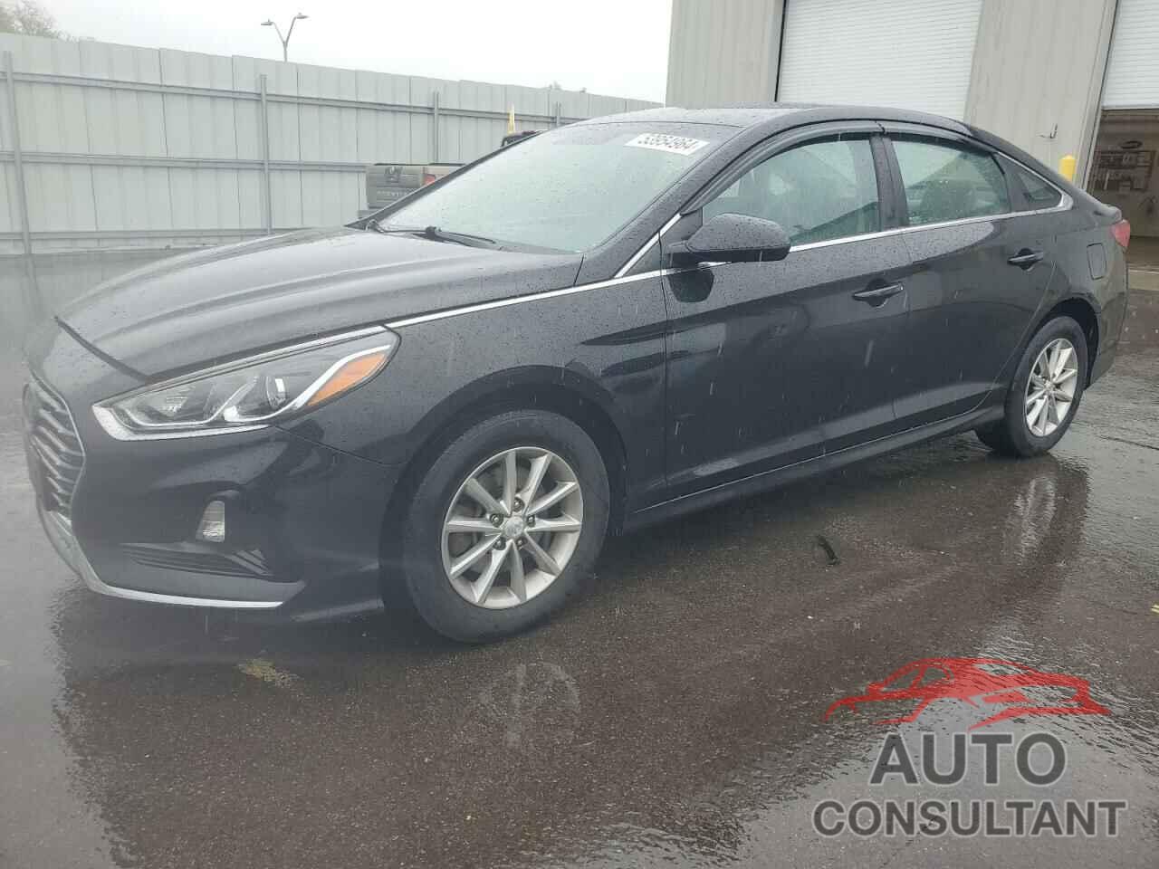 HYUNDAI SONATA 2019 - 5NPE24AF8KH744459