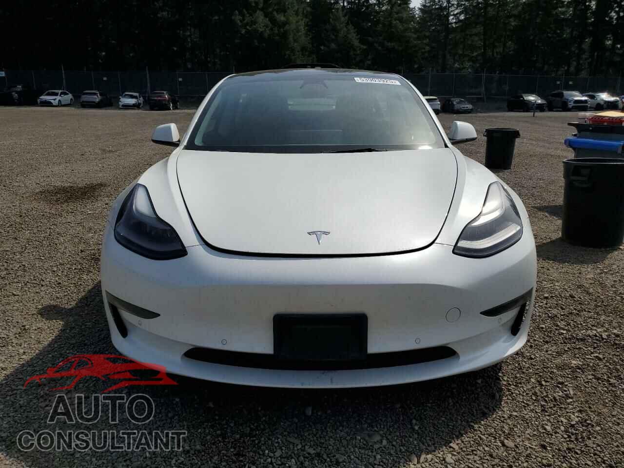 TESLA MODEL 3 2021 - 5YJ3E1EAXMF091713