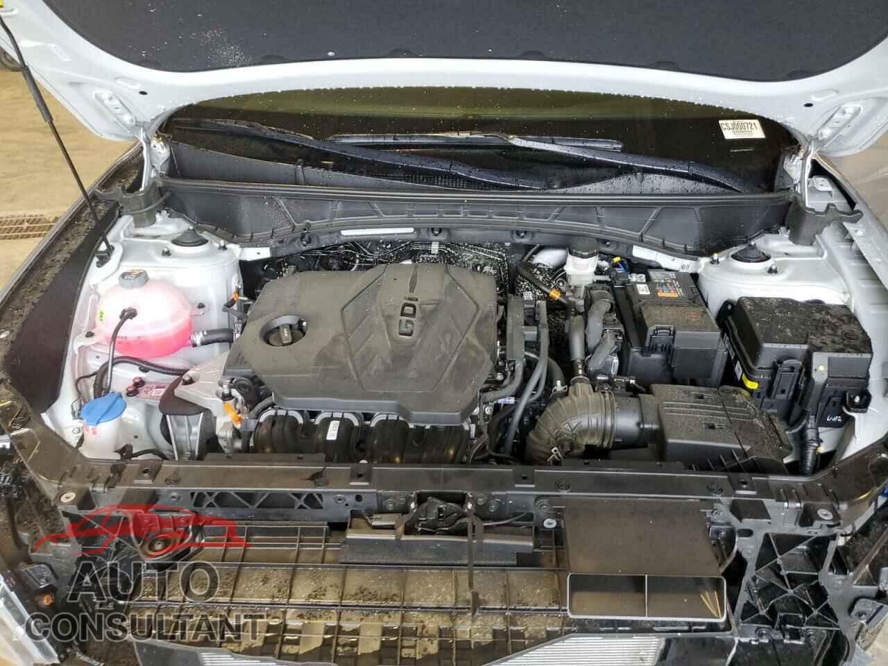 HYUNDAI TUCSON 2024 - KM8JBCDE7RU320794